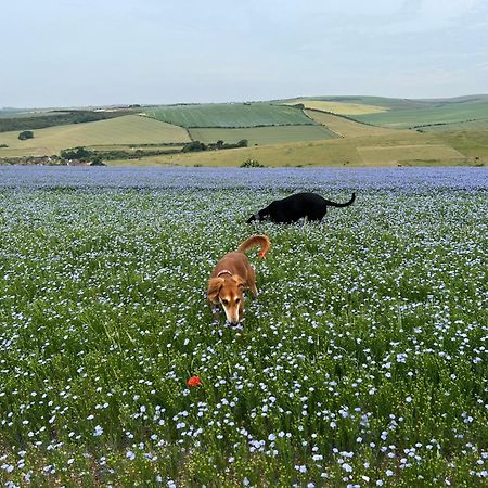 Saltdean Stay Okręg wyborczy Hove Zewnętrze zdjęcie