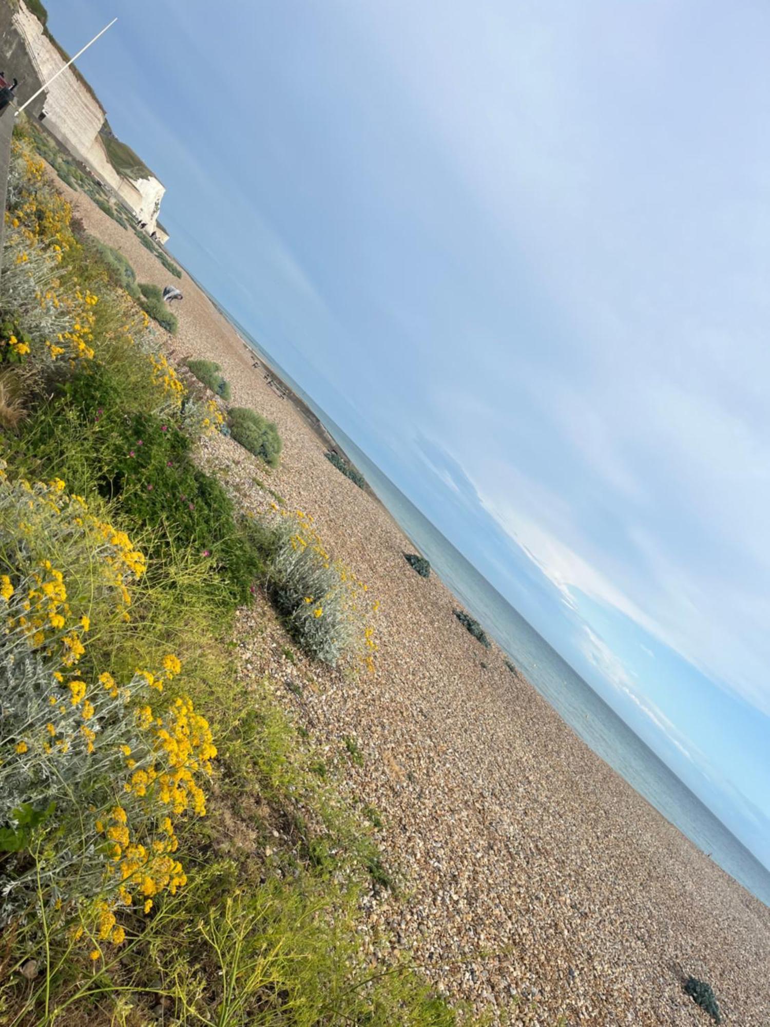 Saltdean Stay Okręg wyborczy Hove Zewnętrze zdjęcie